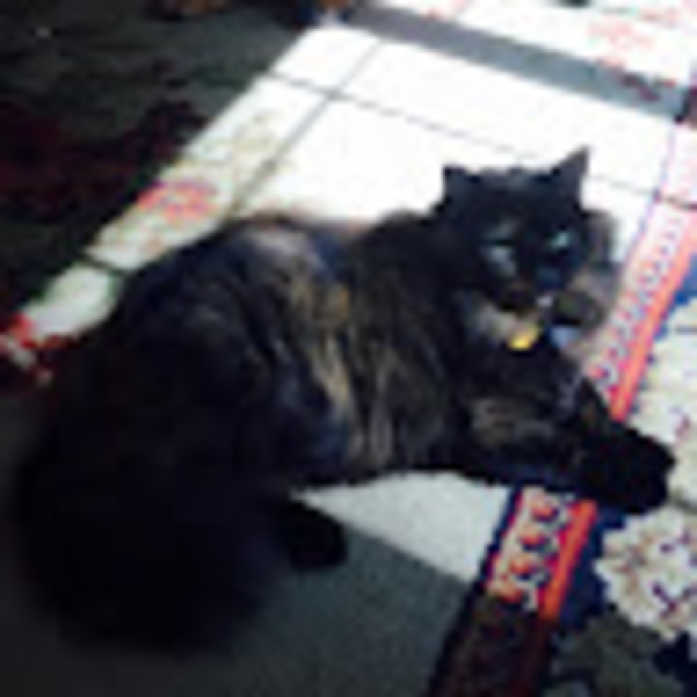 Meet your Posher, Katie